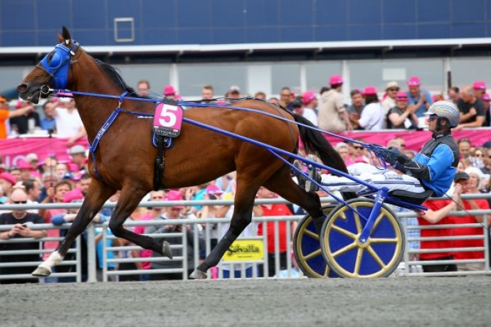 VDS-SAILLIE-DE-TIMOKO