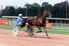 VDS-SAILLIE-DE-QOETMALS-WOOD-0