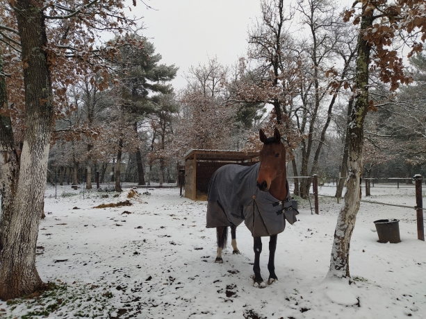 Cherche-transport-Grosbois-Reims-mardi-23-02