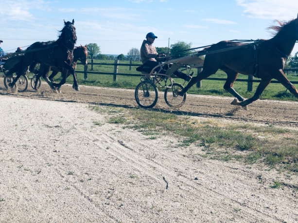 Entraineur-public