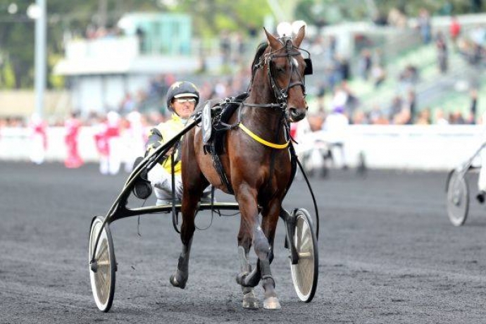 Vente-saillie-Briac-Dark-sans-TVA-0