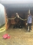 Pension-pour-chevaux-1