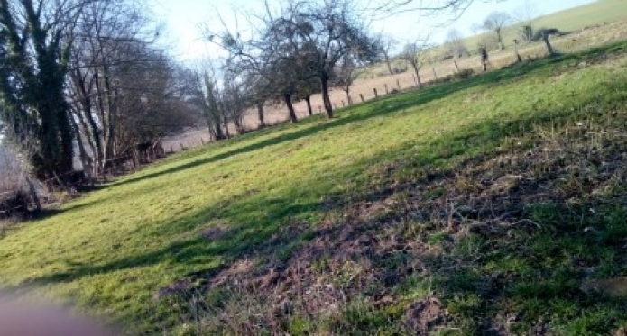 Recherche-chevaux-en-pension-0