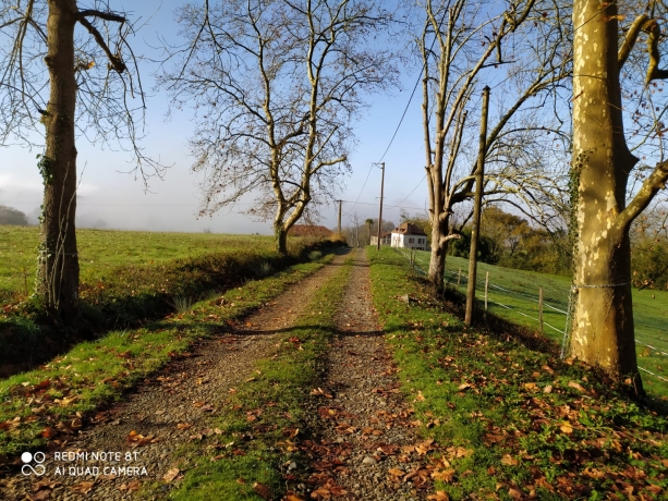 Av-Propriete-agricole-de-15-ha-dans-le-Sud-Ouest