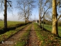 Av-Propriete-agricole-de-15-ha-dans-le-Sud-Ouest-2