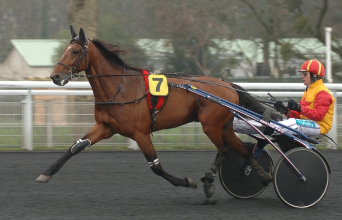 Part-Ouragan-de-Celland