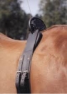 CEINTURE-DE-POULINAGE--BIRTH-ALARM