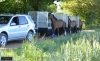 Training-de-courses--HIPPOCENTER-1
