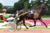 A-vendre-pour-reduction-d---effectif-0