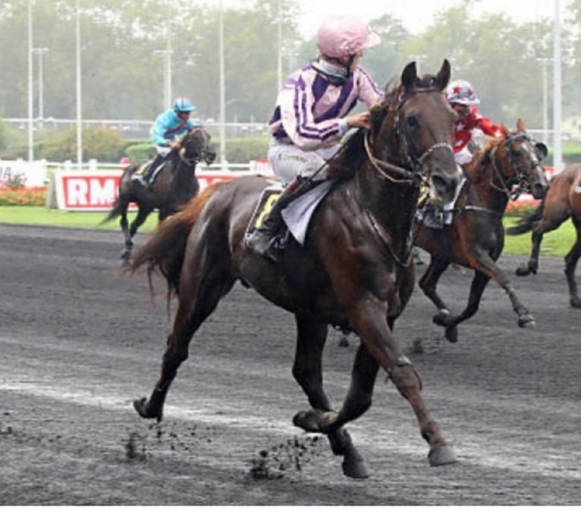 Saillie-gratuite--option-possible-0
