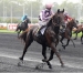 Saillie-gratuite--option-possible-0