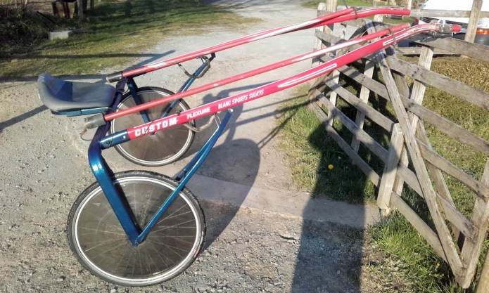 Sulky-de-Course-0