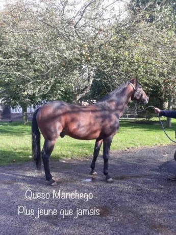 Saillies-gratuites-ou-option-fils-de-Coktail-Jet-0