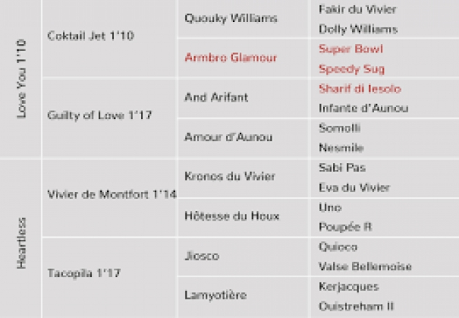 Parts-ou-saillies-de-QUE-JE-T---AIME-1