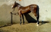 JADORE-DUTOLLEM-0