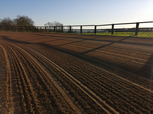 Ressaie-chevaux-complique-1