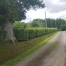 Recherche-emploi-entretien-haras-0