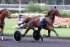Sallie--quot;KIWI-quot;-2021-0