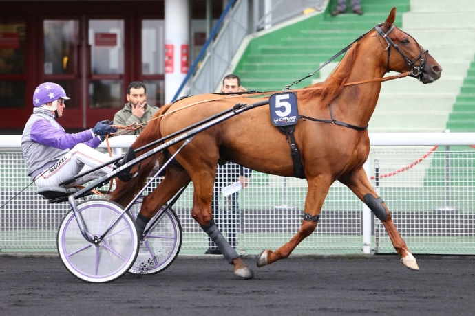 Saillie-BOCCADOR-DE-SIMM-0