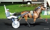 Vends-part-du-crack-DROLE-DE-JET-par-COKTAIL-JET-(sans-TVA)-0