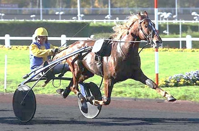 part etalon trotteur a vendre