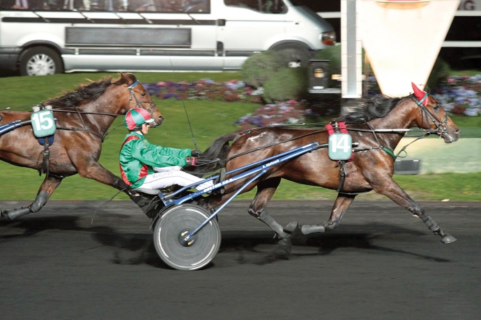 Poulinière de course à vendre Clearance