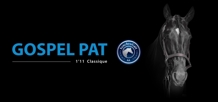 part etalon trotteur a vendre