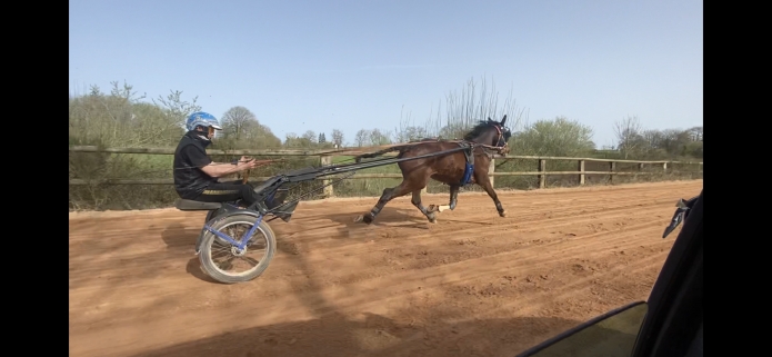Debourrage--pre-entrainement---remise-en-forme---Ou-chevaux-compliques-1