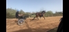 Debourrage--pre-entrainement---remise-en-forme---Ou-chevaux-compliques-1