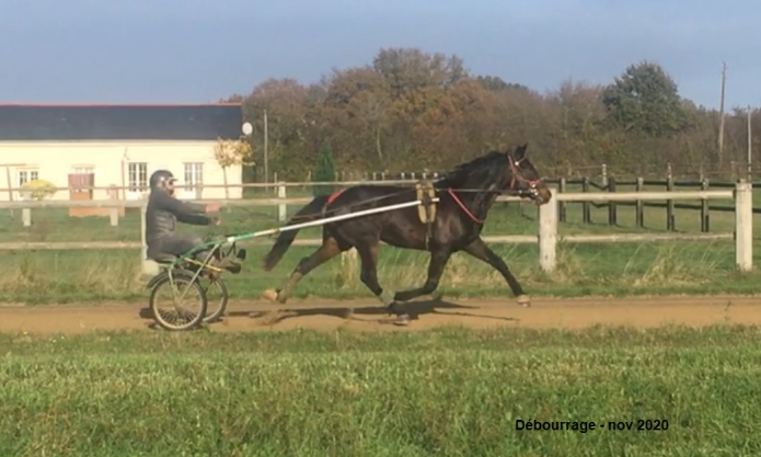 a-vendre-J--au-travail-1