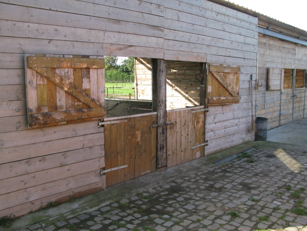 cherche-trotteurs-a-vendre-0