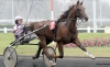 Saillie-gratuite-avec-option-d---achat-Ulysse-0