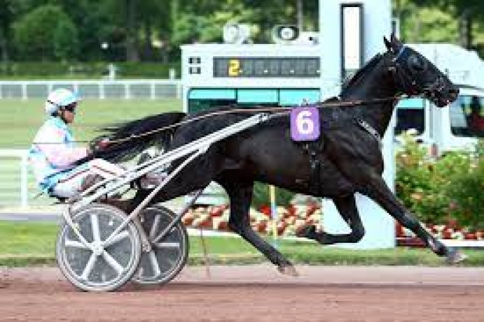 Saillie-Gratuite-0