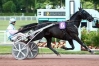 Saillie-Gratuite-0