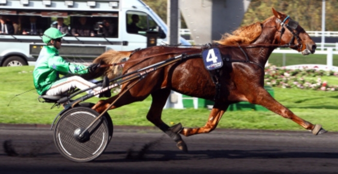 Saillie-gratuite-et-option-d---achat-du-poulain-0