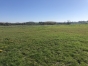 HARAS-D---ELEVAGE-de-73-ha--Normandie--Orne-(61)--Proche-Mortagne-au-perche-2