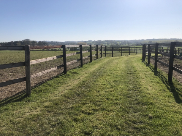 HARAS-D---ELEVAGE-de-73-ha--Normandie--Orne-(61)--Proche-Mortagne-au-perche-1