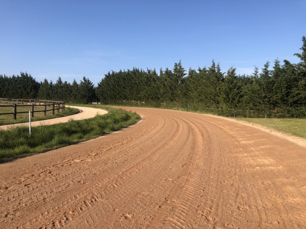 Centre-d---entrainement--Ecurie-de-sport-sur-21-ha---Normandie--Proche-Haras-du-Pin-(61)-Achat