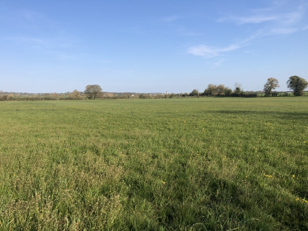 Centre-d---entrainement--Ecurie-de-sport-sur-21-ha---Normandie--Proche-Haras-du-Pin-(61)-Achat-0