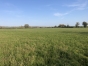 Centre-d---entrainement--Ecurie-de-sport-sur-21-ha---Normandie--Proche-Haras-du-Pin-(61)-Achat-0