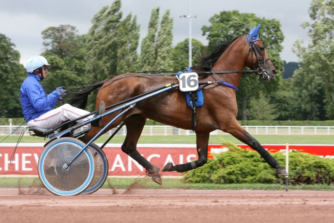 Saillie-contre-prime-eleveur--0