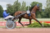 Saillie-contre-prime-eleveur--0