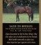 Saillies-gratuite-pour-juments-1er-et-2eme-cat-1