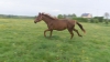 Location-ou-vente-de-IKRA-1