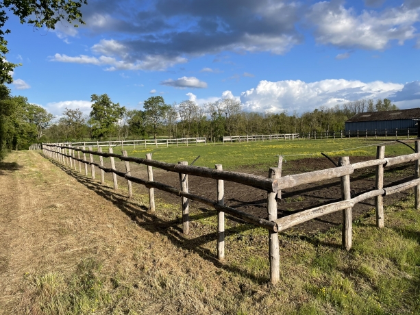 Recherche-collaborateur---trice-pour-elevage-TF-dans-ferme-proche-Orleans-2