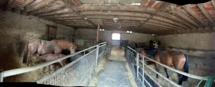 Recherche-collaborateur---trice-pour-elevage-TF-dans-ferme-proche-Orleans-1