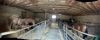 Recherche-collaborateur---trice-pour-elevage-TF-dans-ferme-proche-Orleans-0