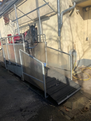 Tapis-roulant-d---occasion-HorseGym-0