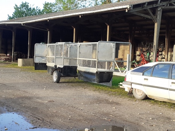 Training-6-chevaux-2