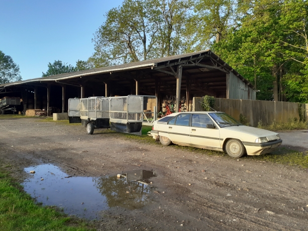 Training-6-chevaux-1